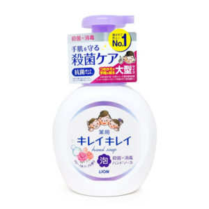 LION Bubble Hand Wash- Floral