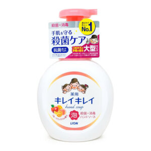 LION Bubble Hand Wash- Fruity