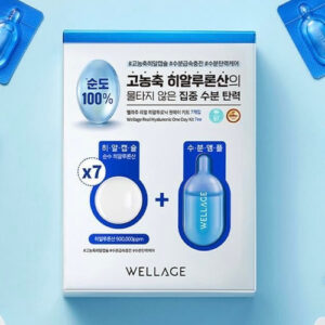 WELLAGE Real Hyaluronic One Day